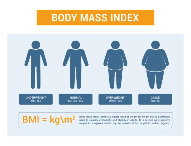 脂率还重要吗？（索队大百科系列）开元ky棋牌什么是BMI？它比体(图3)